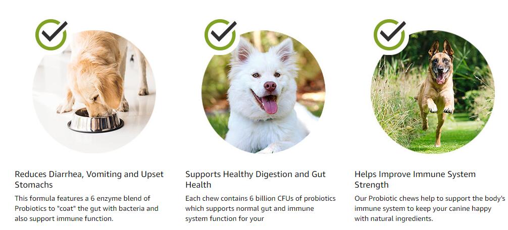 11.Pet Supplements