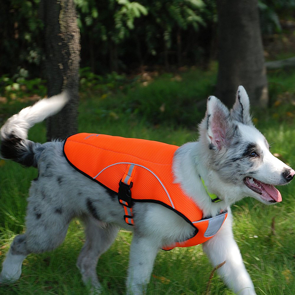 Dog Cooling Vest