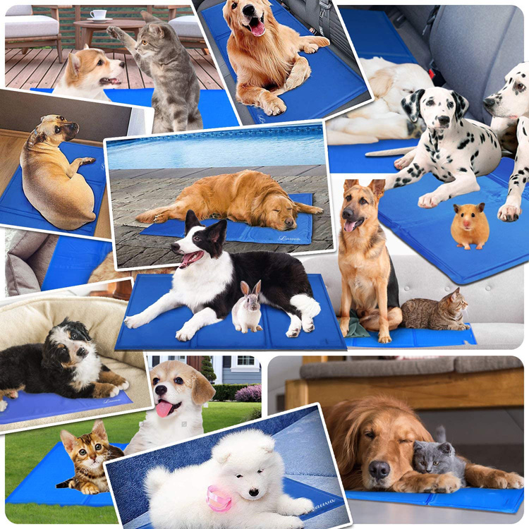 Dog Cooling mat