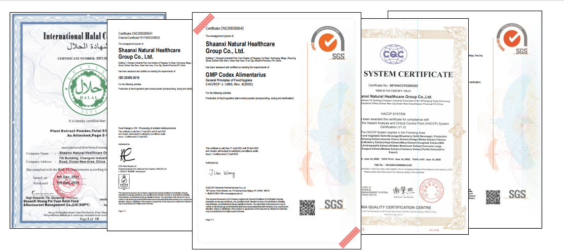 Fruit and vegetable powder