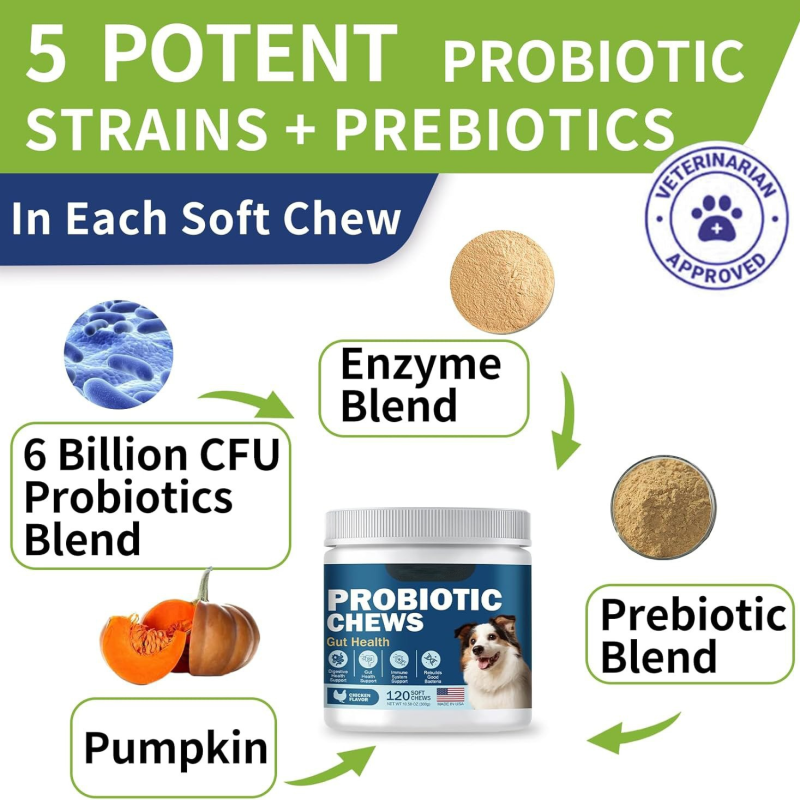 Elevate Your Pet Brand with Premium Dog Probiotic Chews OEM/ODM: Shanghai Higo Tech Leads the Global Market