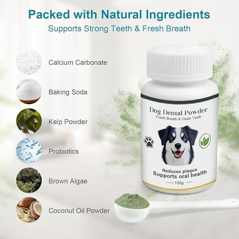 Dominate the Pet Oral Care Market with Top-Tier Pet Teeth Cleaning Powder OEM/ODM Solutions