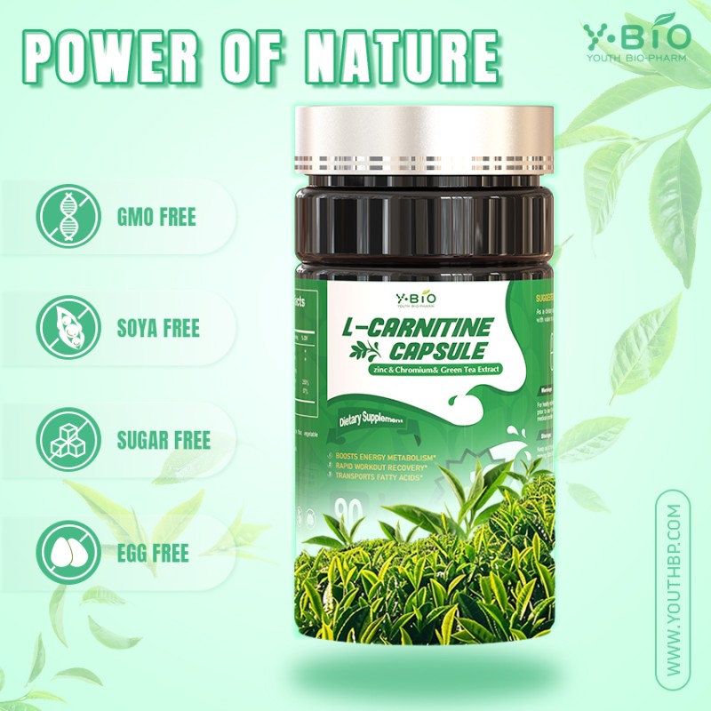 Innovation-Driven, Win-Win Future: YOUTH Green Tea L-Carnitine Capsules Lead New Transformation in OEM Industry
