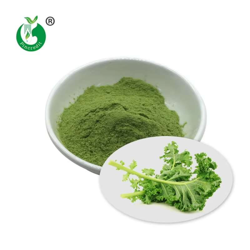 Partner with a Leading Kale Fiber Powder Manufacturer for Premium Bulk & Private Label Solutions