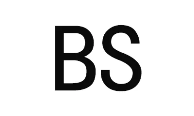 Shijiazhuang Boshen Import And Export Trading Co., Ltd.-logo