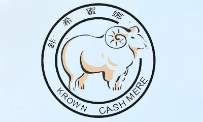 Zhejiang Runyang Clothing Company Ltd.