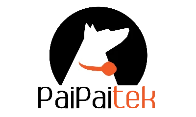 Shenzhen PaiPai Technology Co., Ltd.