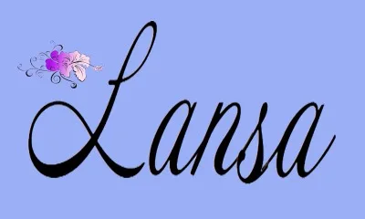 Yiwu Lansa E-Commerce Firm(Individual Business)