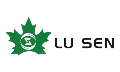 Lusen (shandong) Electromechanical Technology Co., Ltd.
