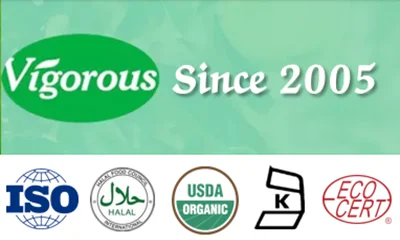 Changsha Vigorous-Tech Co., Ltd.-logo